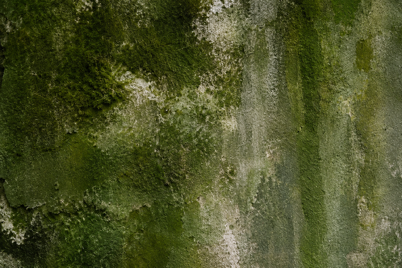 Origin of Line — storia alvino